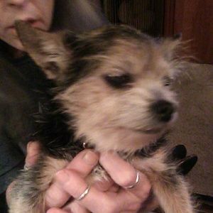 Meet your Posher, Shelly